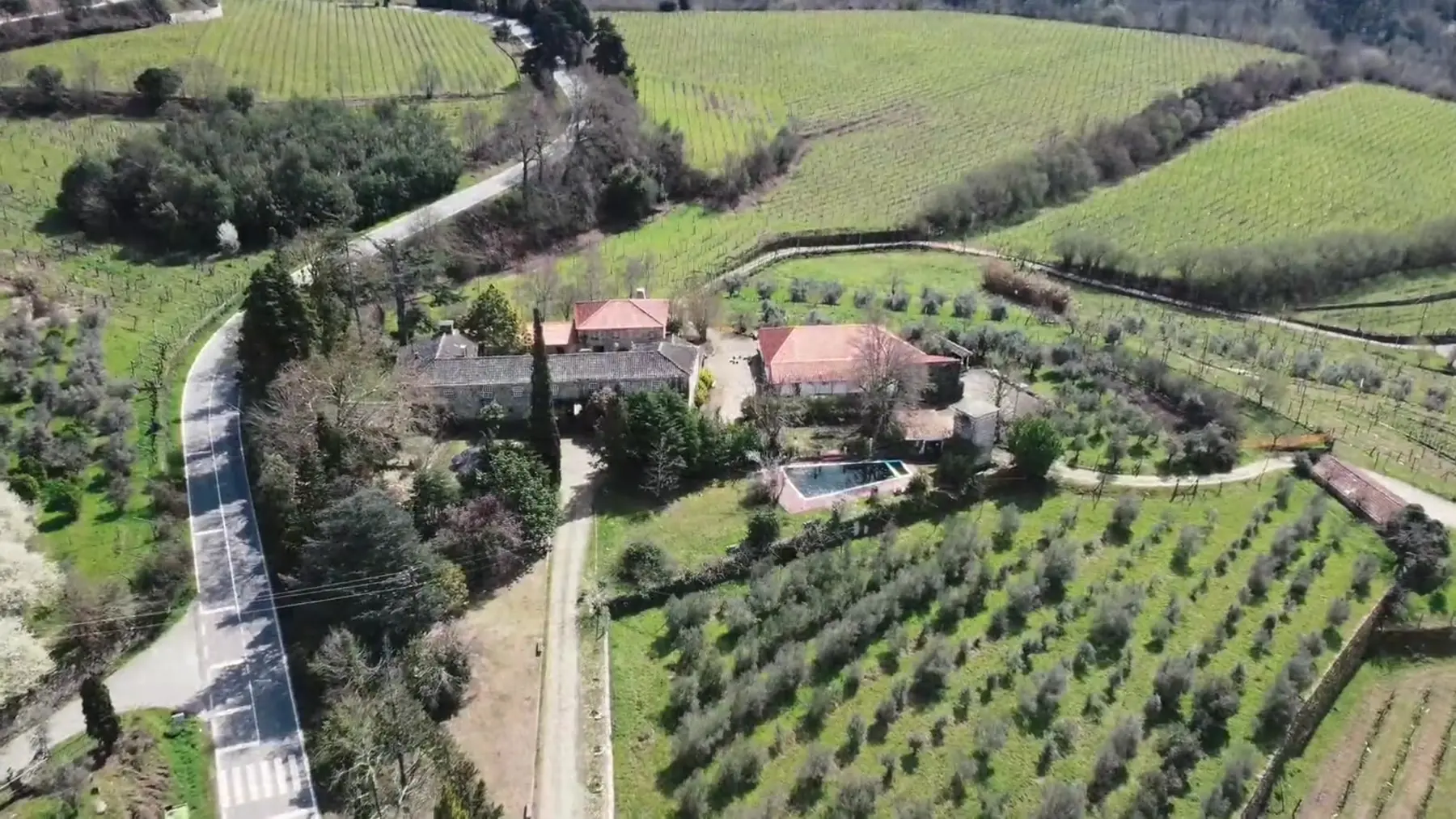 Vista aérea da Quinta da Comenda, com a casa principal, a vinha e o olival