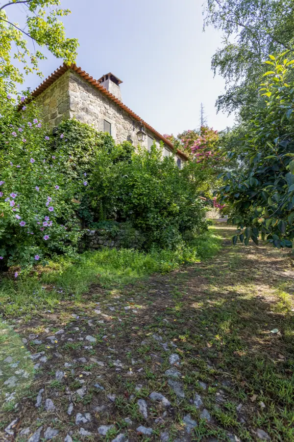 Pomar da quinta